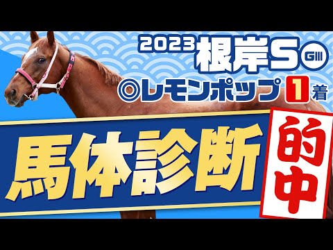 【根岸S 2023】東海Sでは◎イチオシ馬が1着！GⅠへ繋がるダート戦に適性最高評価の馬が登場！某大手牧場の元スタッフが見抜く重賞馬体診断！重賞フォトパドック【競馬 予想】