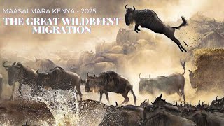 The Great Wildebeest Migration | Nature’s Most Breathtaking Journey (Kenya 2025)