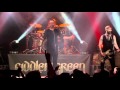 FIDDLER'S GREEN - YINDY (Official Live Video)