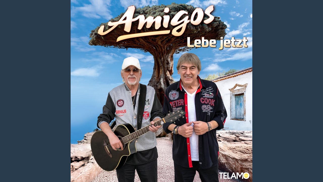 AMIGOS – …durch’s Feuer (Audio CD) – Gebraucht, Guter Zustand