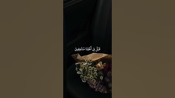 القرآن راحة النفسيه تلاوة خاشعة حالات واتس اب قرآن كريم