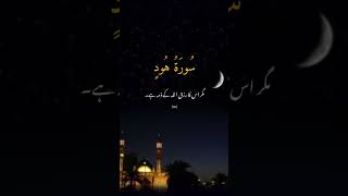 surah Hud Urdu Tarjma verse no 6#allah&quran#urdutranslation