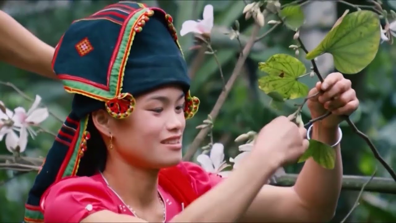 Hitclub.vin - Thiên Đường Giải Trí Đỉnh Cao Trong Tầm Tay