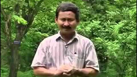 Kỹ năng thuyết trình   Kỹ năng giao tiếp phi ngôn từ