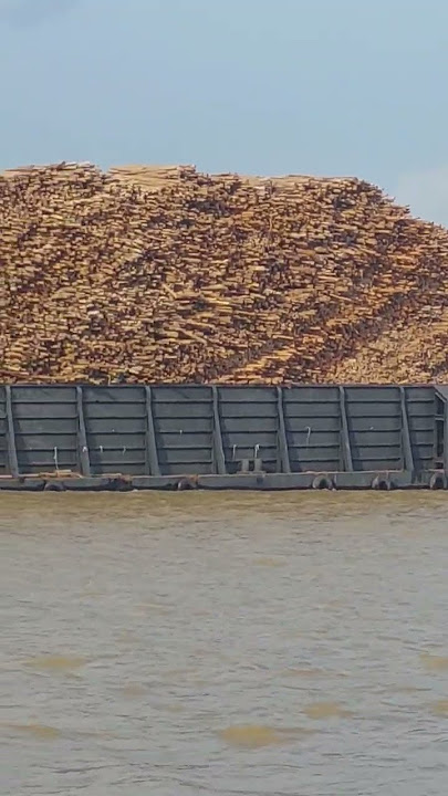 kapal tugboat tarik muatan kayu overdraf