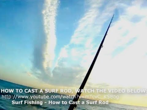 How to Cast a Shark Bait 