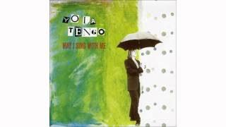 Yo La Tengo - Detouring America with Horns