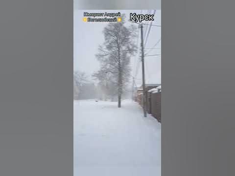 Предновогодняя погода в Курске. Снежок мокрый идёт в городе - YouTube