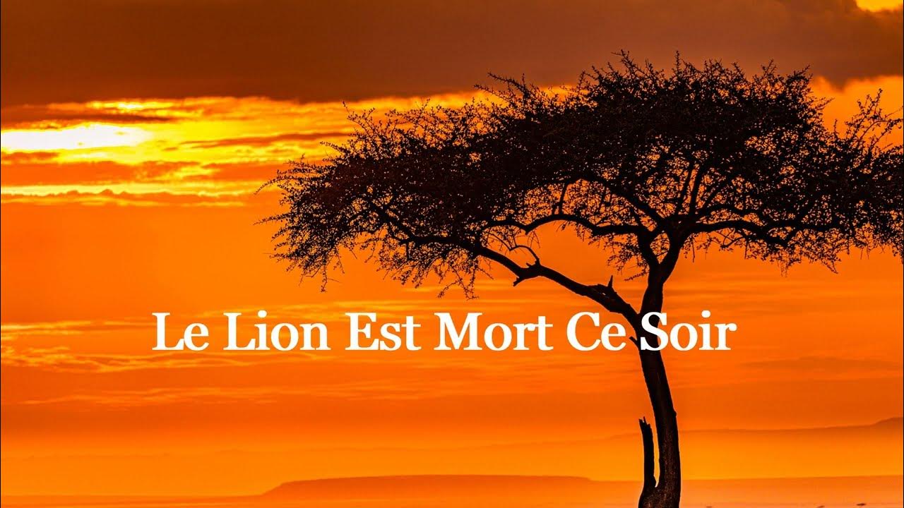 le-lion-est-mort-ce-soir-pow-wow-paroles-youtube