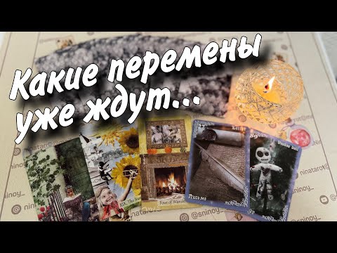 ❗️Что Скоро ПРИДЕТ в Вашу жизнь... 🌷♣️ таро прогноз ♥️ знаки судьбы