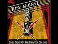 Rise Against - Life Less Frightening