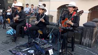 Miniatura de vídeo de "Alitas Quebradas (cover); Klever Berrones, Ney Lz y Jhonny Chamba"