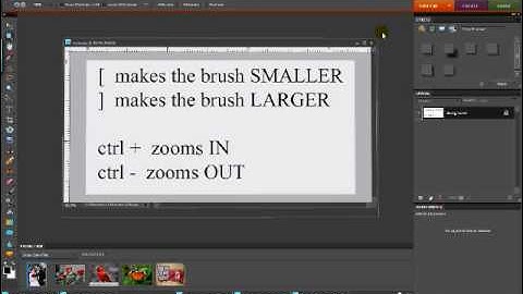 Color Pop Technique in Photoshop Elements 8, Part 1