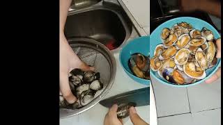 Performance task in TLE Cookery(vegetable and seafood)