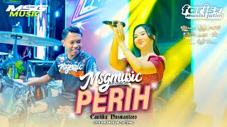 PERIH - Cantika Nuswantoro MSG MUSIC FT FARIS AND FRIEND Live Purwodadi - Jateng #2026