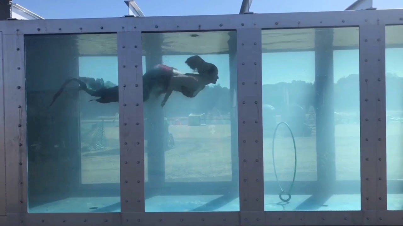 Mermaid Molly training in the Aqua Performance Group tank at Lake Arvesta! 