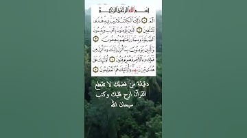 تلاوة مباركة من البقرة بصوت داود حمزة صوت جميل