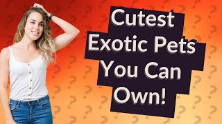 Can I Own Exotic Animals as Pets? Top 25 Cutest Choices