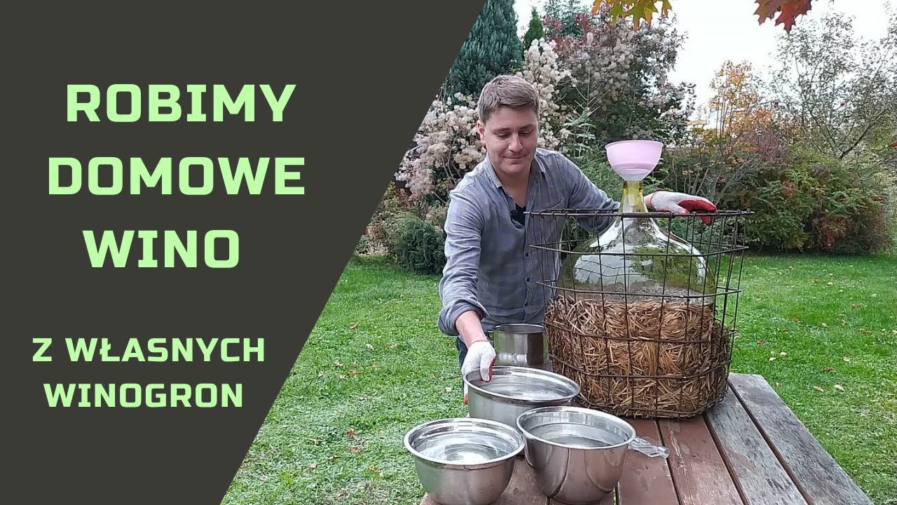 Robimy domowe wino z własnych winogron