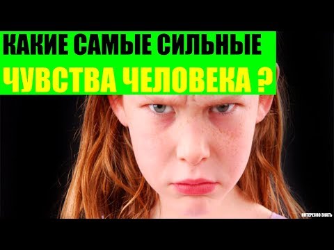 Какие самые сильные чувства человека?