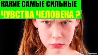 Какие самые сильные чувства человека? Какие самые сильные чувства человека?