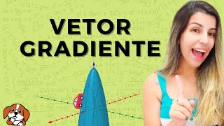 What is the Gradient Vector - Everything You Need to Know + Solved Exercises | Calculus