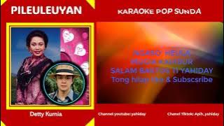 Pileuleuyan _ Detty Kurnia [Karaoke Pop Sunda]