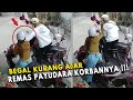 BEGAL KURANG AJAR.. Pelaku Tak Hanya Ingin Mencuri Hp Nya, Malah Berbuat Seperti Ini