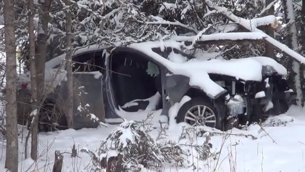We Found An Abandoned Car In The Forest! - YouTube