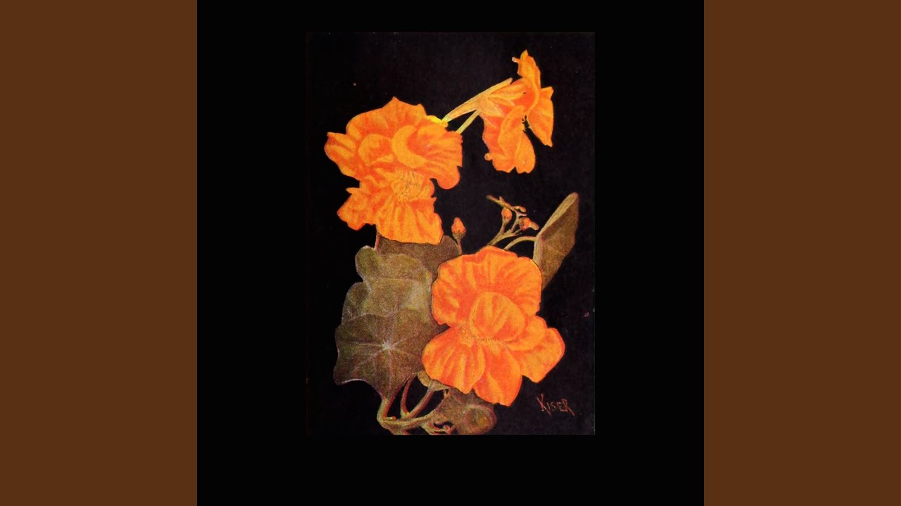 Taurus auf YouTube ansehen Taurus auf YouTube ansehen