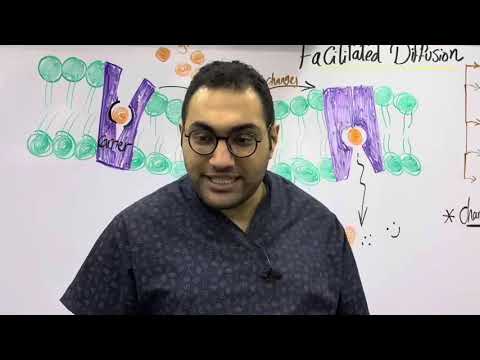   2 القصر العيني