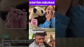 Gun gun panda kecil si pengganggu‼️ #shortvideo