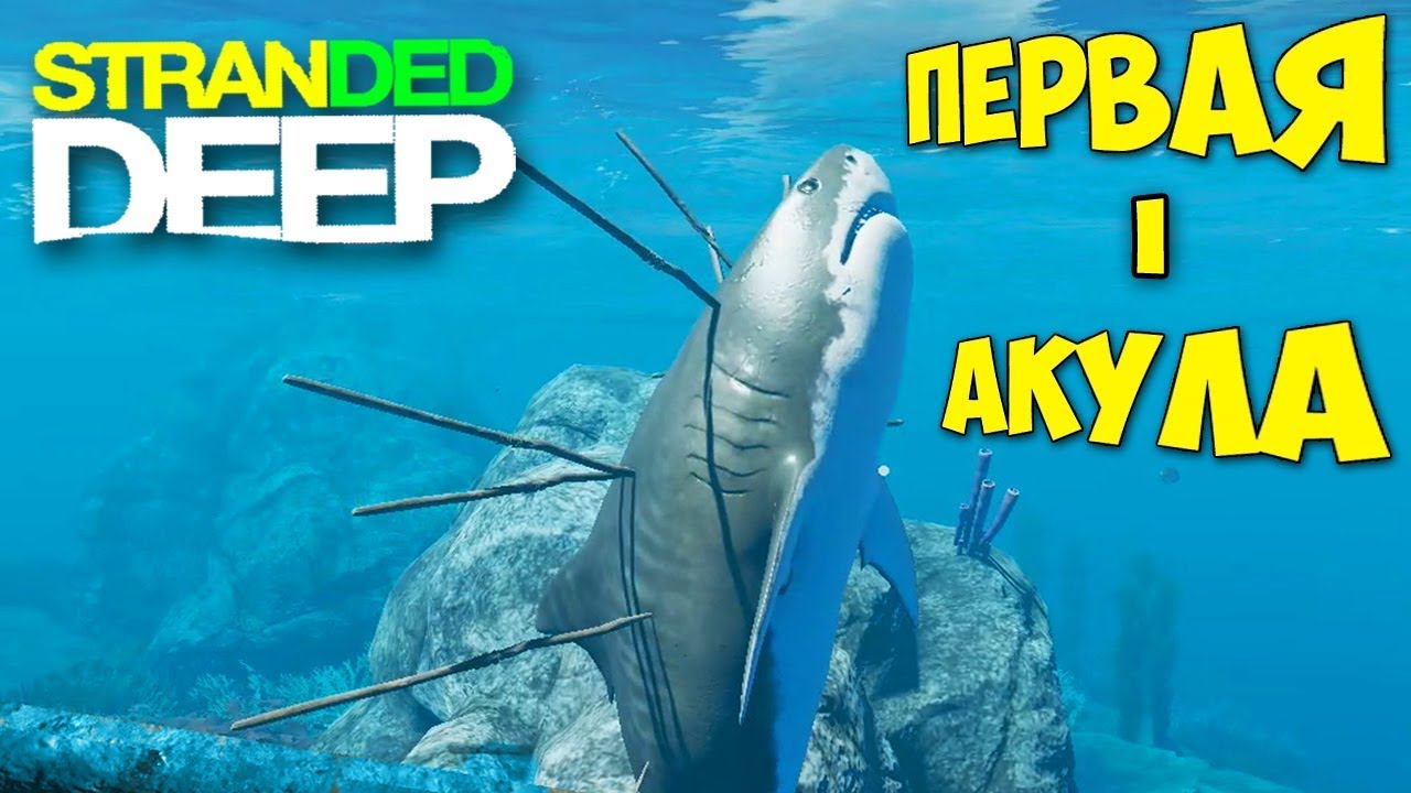 Deep 11. Stranded deep акула. выживания с акулой. белая акула страндед дип. stranded deep shark.