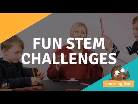 What is STEM? Fun STEM &rsquo;Engineering&rsquo; Projects for Kids | STEM | STEM Project | STEM Ideas| STEM Kids