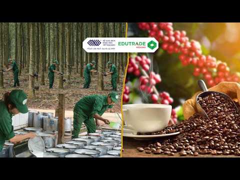 Nhận Định 20.04.2026 | Nhóm Nguyên Liệu