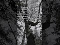 Waterlover - Засохшие листья