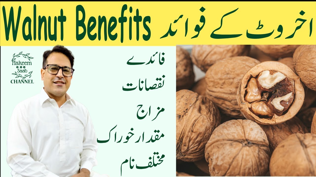 AKHROT KE FAYDE WALNUT BENEFITS IN URDU اخروٹ کے فوائد YouTube