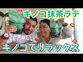 【本当にキノコ!?】世界で注目されてる健康で美味すぎる抹茶ラテ登場!!優秀すぎてやばい‼️