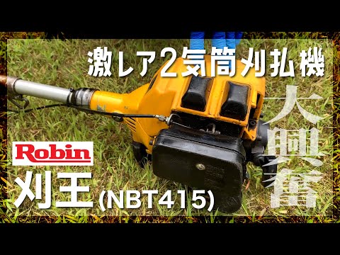 [Robin NBT415]激レア2気筒刈払機でテンション爆上がり[2stroke