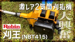 [Robin NBT415]激レア2気筒刈払機でテンション爆上がり[2stroke Twin Cylinder Brush Cutter]