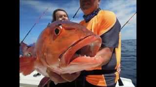 carpe rouge et mérou madagascar 2015 . pêche en mer