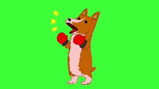 ✔️GREEN SCREEN EFFECTS: Dog Boxing