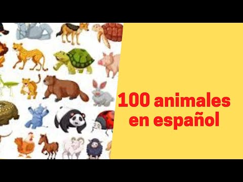 100 animais em espanhol