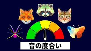 動物の聴覚を調べてみよう