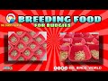 Breading Food for Budgies || MG BIRDS WORLD.