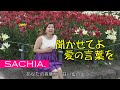 聞かせてよ愛の言葉を ソプラノ歌手 SACHIA. さちあ