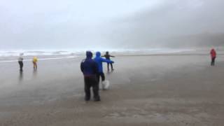 Windy Cannon Beach