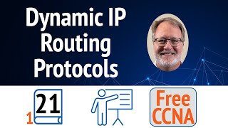 Famous Dynamic Routing Protocols: What They Do and How They Work Net Worth