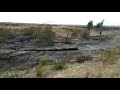 Тушить пожары помогают шахтинские реестровые казаки