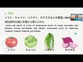 Lesson 1 SSW2 crop farming